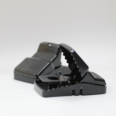 pix - apex globe abu dhabi135