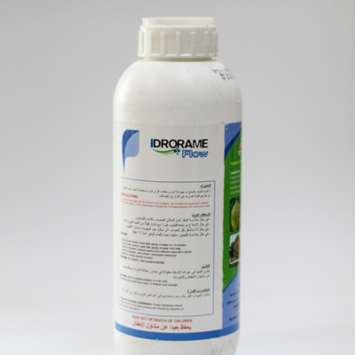 pix - apex globe abu dhabi28