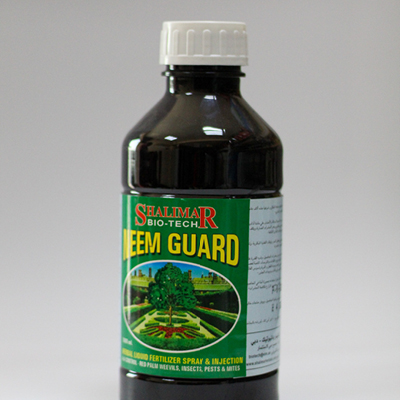 pix - apex globe abu dhabi38